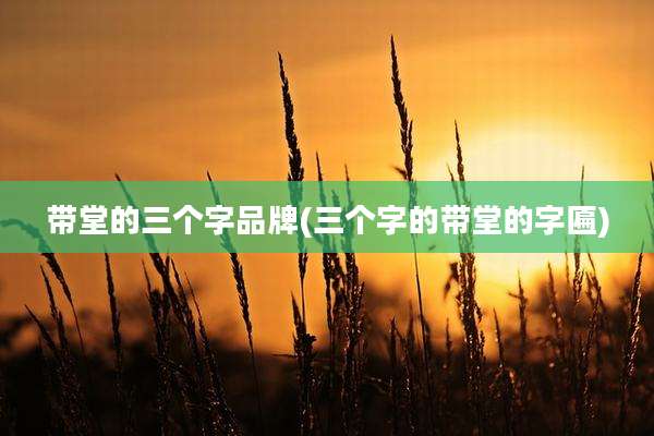 带堂的三个字品牌(三个字的带堂的字匾)