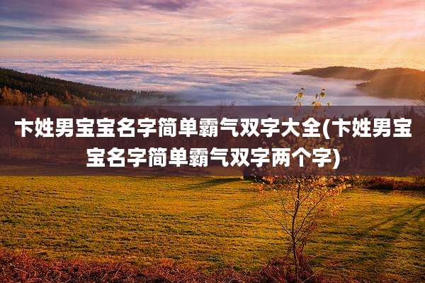 卞姓男宝宝名字简单霸气双字大全(卞姓男宝宝名字简单霸气双字两个字)