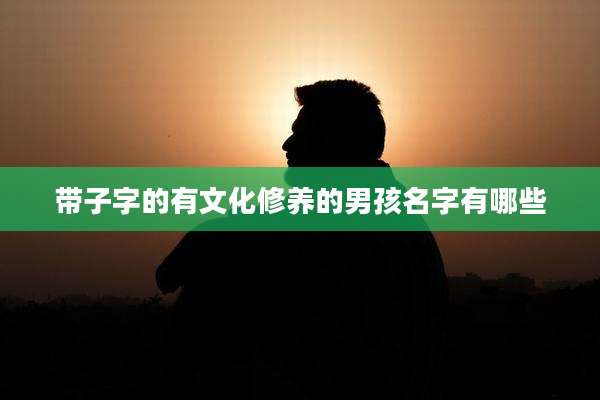 带子字的有文化修养的男孩名字有哪些