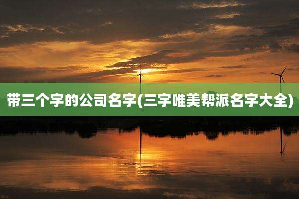 带三个字的公司名字(三字唯美帮派名字大全)