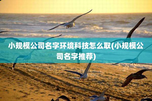 小规模公司名字环境科技怎么取(小规模公司名字推荐)