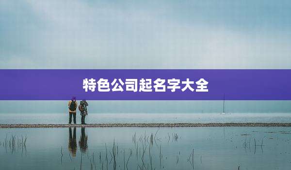 特色公司起名字大全