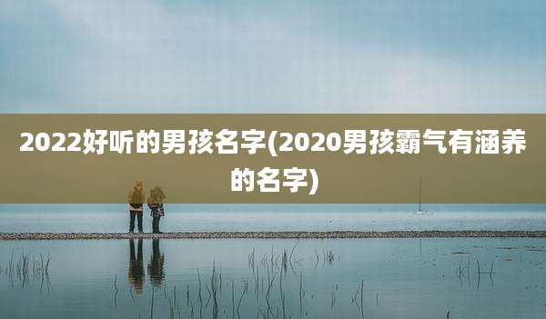 2022好听的男孩名字(2020男孩霸气有涵养的名字)