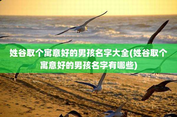 姓谷取个寓意好的男孩名字大全(姓谷取个寓意好的男孩名字有哪些)