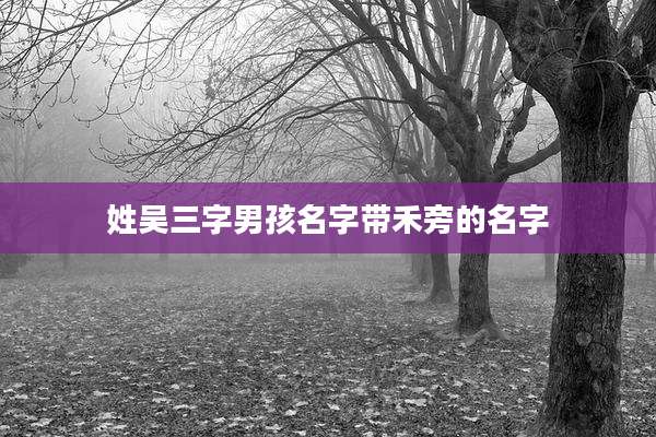 姓吴三字男孩名字带禾旁的名字