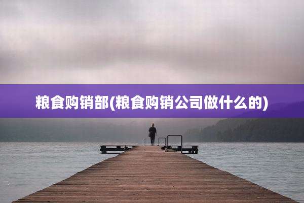 粮食购销部(粮食购销公司做什么的)
