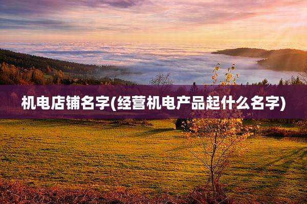 机电店铺名字(经营机电产品起什么名字)