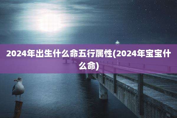 2024年出生什么命五行属性(2024年宝宝什么命)