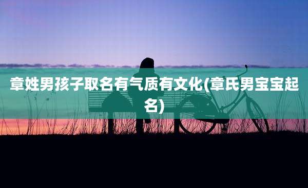 章姓男孩子取名有气质有文化(章氏男宝宝起名)