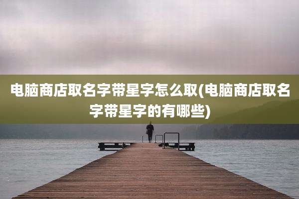 电脑商店取名字带星字怎么取(电脑商店取名字带星字的有哪些)