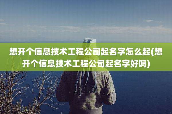 想开个信息技术工程公司起名字怎么起(想开个信息技术工程公司起名字好吗)