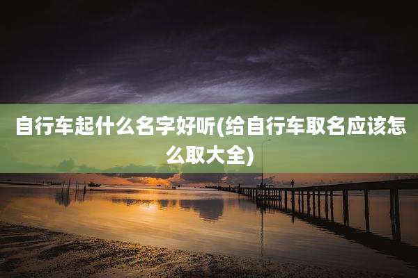 自行车起什么名字好听(给自行车取名应该怎么取大全)