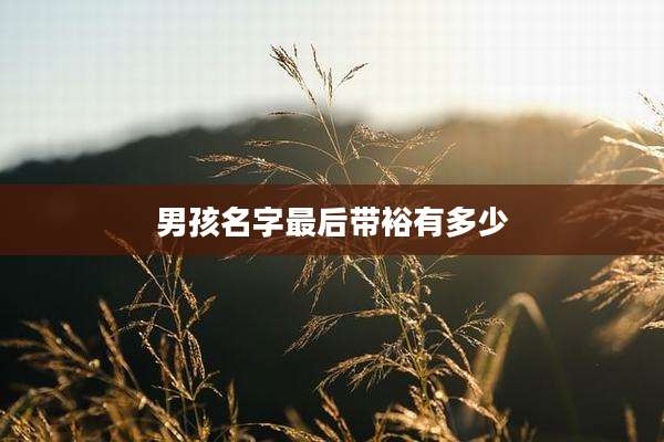 男孩名字最后带裕有多少