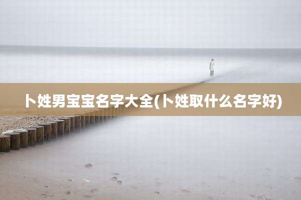 卜姓男宝宝名字大全(卜姓取什么名字好)