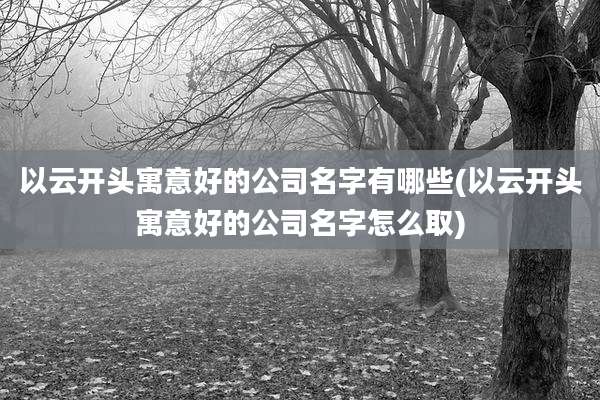 以云开头寓意好的公司名字有哪些(以云开头寓意好的公司名字怎么取)