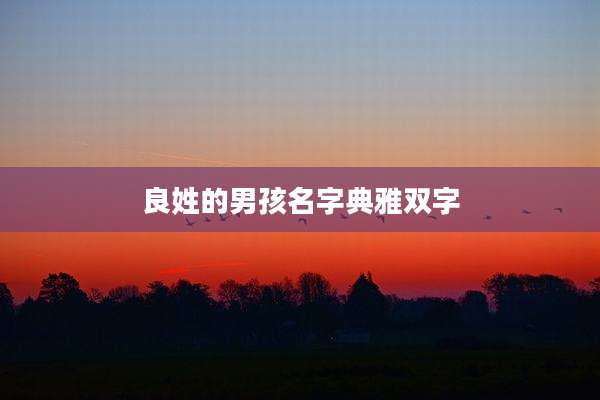 良姓的男孩名字典雅双字