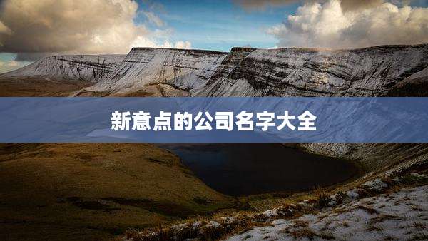 新意点的公司名字大全