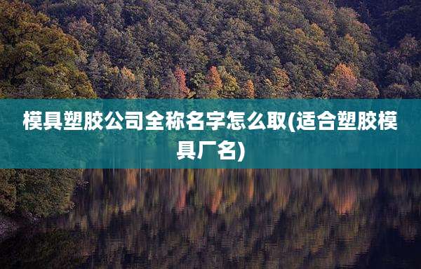 模具塑胶公司全称名字怎么取(适合塑胶模具厂名)