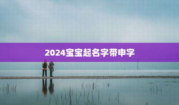 2024宝宝起名字带申字