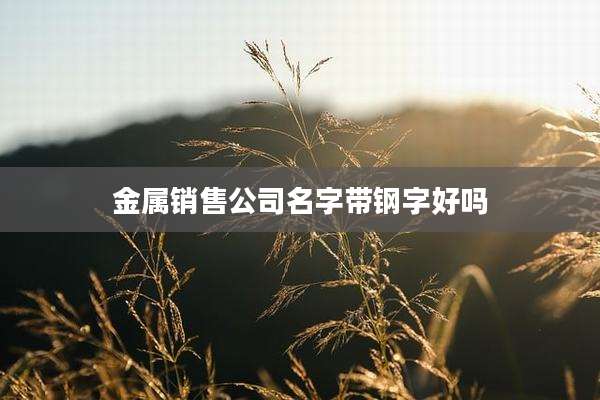 金属销售公司名字带钢字好吗