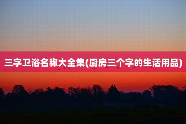 三字卫浴名称大全集(厨房三个字的生活用品)