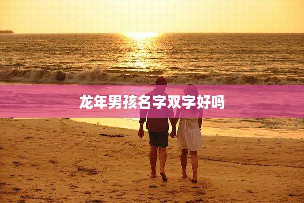 龙年男孩名字双字好吗