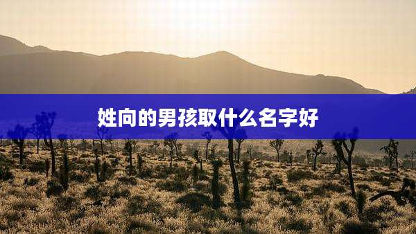 姓向的男孩取什么名字好