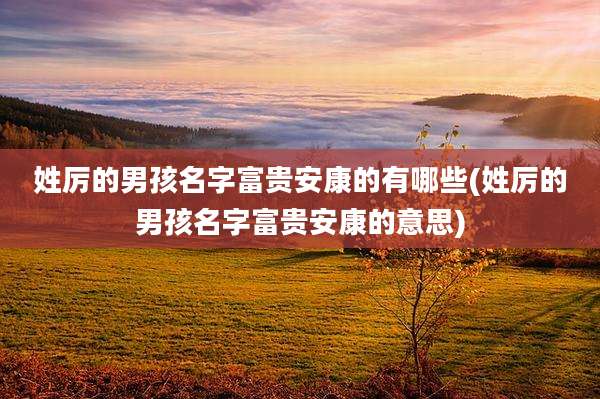 姓厉的男孩名字富贵安康的有哪些(姓厉的男孩名字富贵安康的意思)