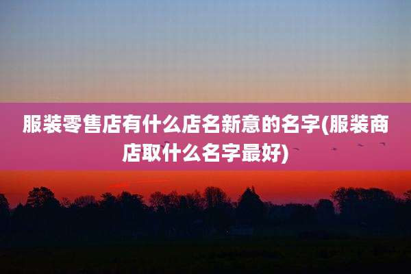 服装零售店有什么店名新意的名字(服装商店取什么名字最好)