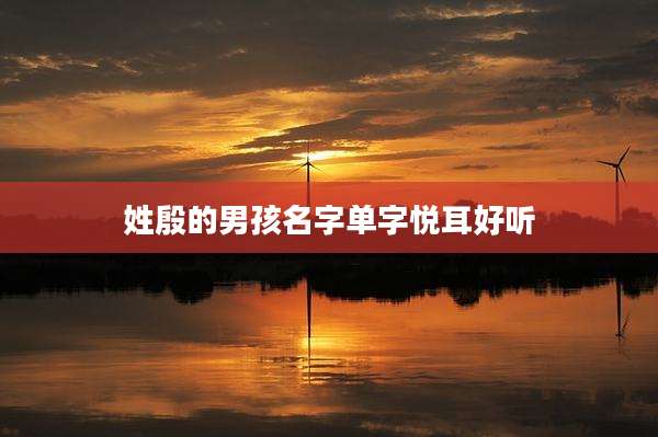姓殷的男孩名字单字悦耳好听