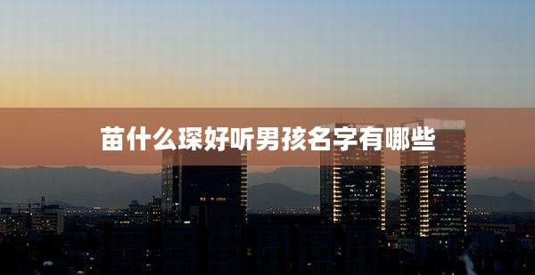 苗什么琛好听男孩名字有哪些