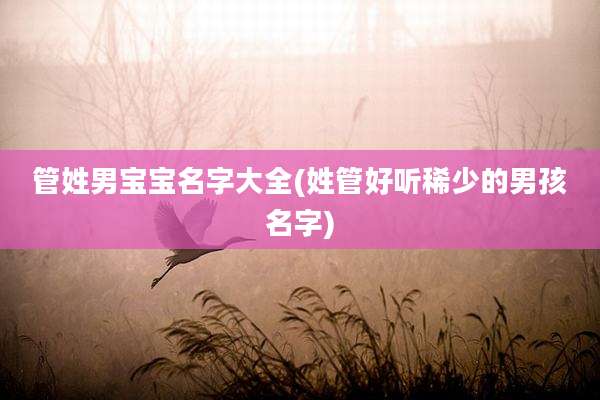 管姓男宝宝名字大全(姓管好听稀少的男孩名字)
