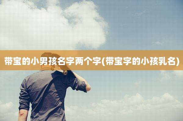带宝的小男孩名字两个字(带宝字的小孩乳名)