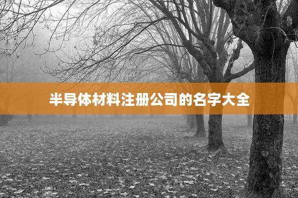 半导体材料注册公司的名字大全
