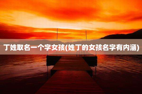 丁姓取名一个字女孩(姓丁的女孩名字有内涵)