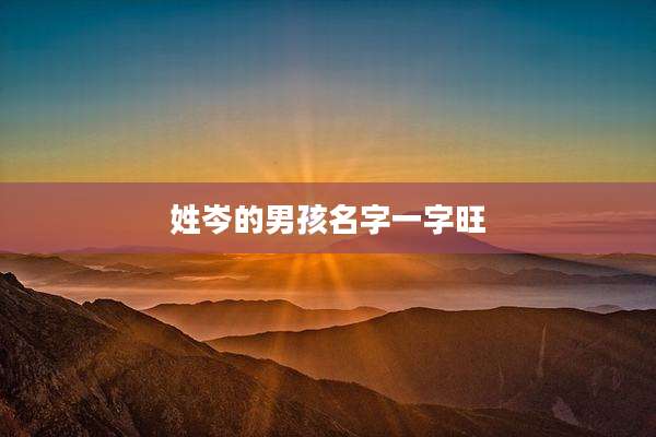 姓岑的男孩名字一字旺