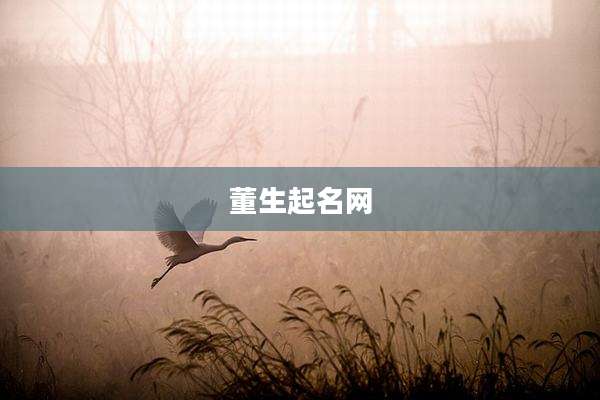董生起名网