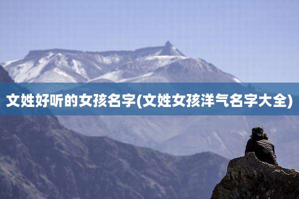 文姓好听的女孩名字(文姓女孩洋气名字大全)