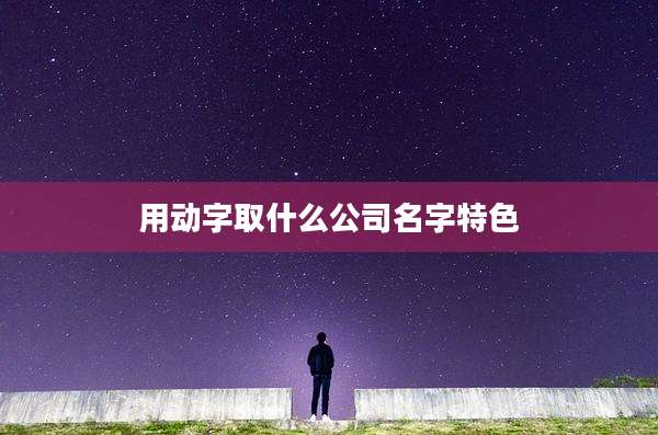 用动字取什么公司名字特色