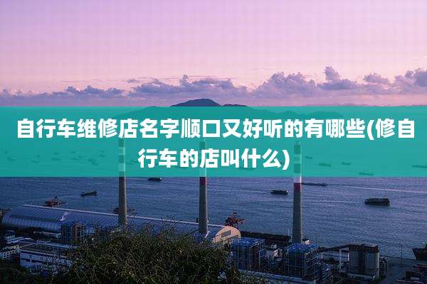 自行车维修店名字顺口又好听的有哪些(修自行车的店叫什么)