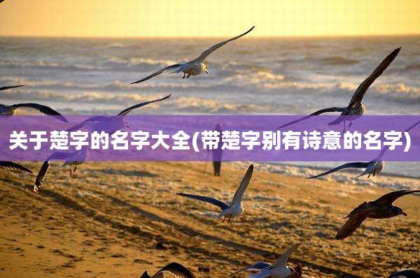 关于楚字的名字大全(带楚字别有诗意的名字)