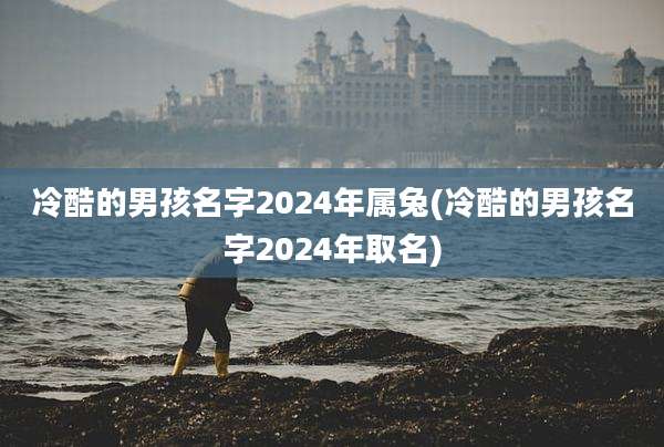冷酷的男孩名字2024年属兔(冷酷的男孩名字2024年取名)