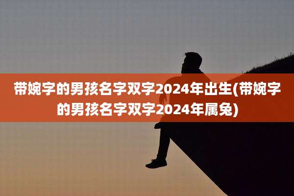 带婉字的男孩名字双字2024年出生(带婉字的男孩名字双字2024年属兔)