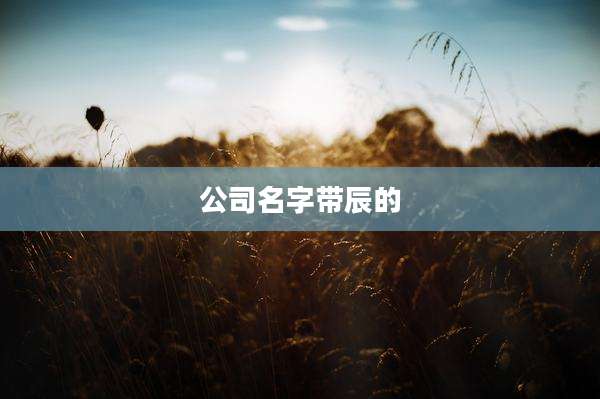 公司名字带辰的