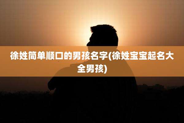 徐姓简单顺口的男孩名字(徐姓宝宝起名大全男孩)