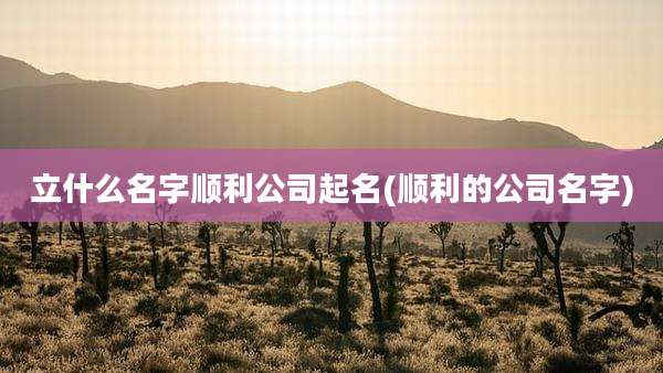 立什么名字顺利公司起名(顺利的公司名字)