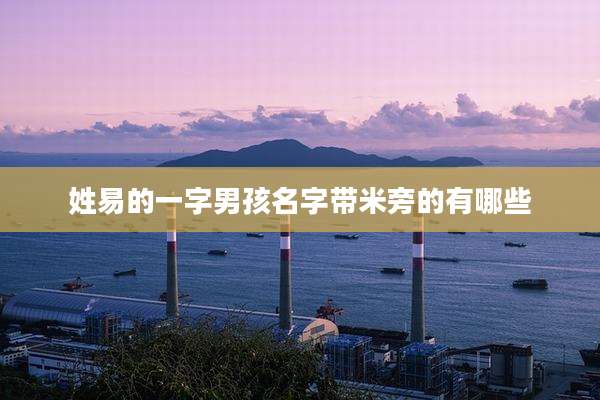 姓易的一字男孩名字带米旁的有哪些