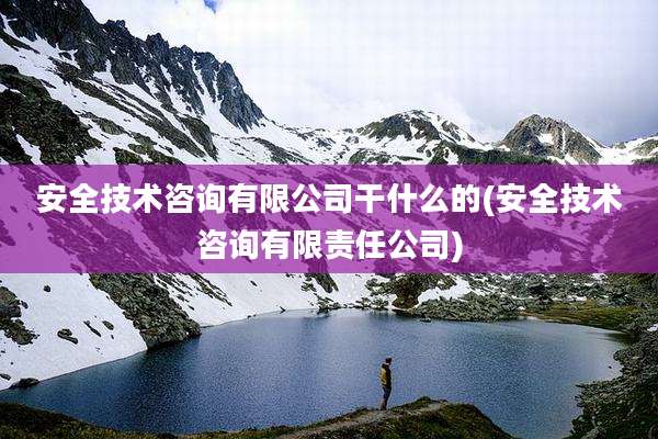 安全技术咨询有限公司干什么的(安全技术咨询有限责任公司)