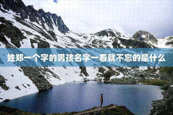 姓郑一个字的男孩名字一看就不忘的是什么