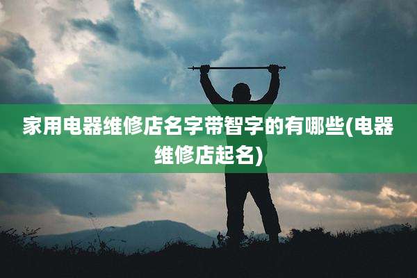 家用电器维修店名字带智字的有哪些(电器维修店起名)